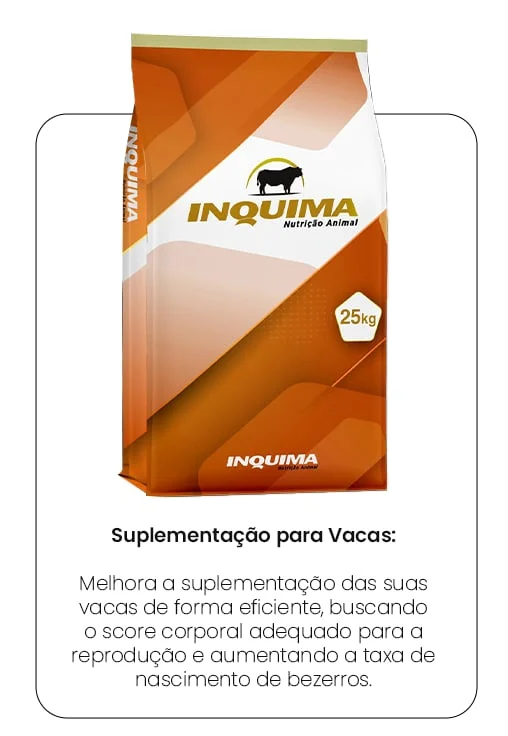 Produto 1